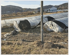  2025Ÿ��4022 ����Ư����ġ�� �ݳ��� ���ϸ� 107       ����(��)���