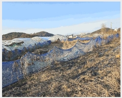  2025Ÿ��4022 ����Ư����ġ�� �ݳ��� ���ϸ� 107       ����(��)���