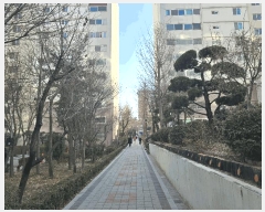  2025Ÿ��4064 ���� ���� �л굿 1811 û�־���Ʈ 6�� 1��105ȣ    ����Ʈ���