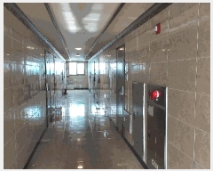  2025Ÿ500896   636 32, 5 504ȣ (빮,빮̽Ÿ)    Ȱð