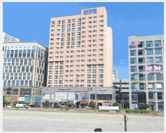  2025Ÿ502195 Ưġ  548  5511ȣ      Ȱð