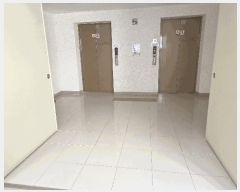  2025Ÿ502195 Ưġ  548  5511ȣ      Ȱð