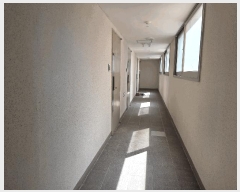  2025Ÿ502195 Ưġ  548  5511ȣ      Ȱð