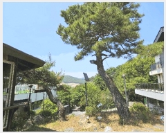  2025Ÿ��502403 ����Ư����ġ�� �ݳ��� ������ 575-20       ���ð��