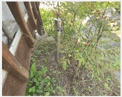  2025Ÿ��502403 ����Ư����ġ�� �ݳ��� ������ 575-20       ���ð��