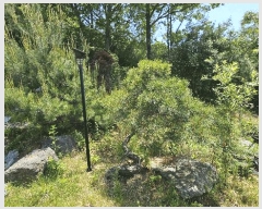  2025Ÿ��502403 ����Ư����ġ�� �ݳ��� ������ 575-20       ���ð��