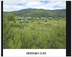  2025Ÿ��502441 �泲 �ݻ걺 ���ϸ� ������ ��26-1      ����(�Ӿ�)���