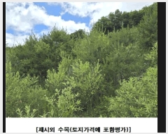  2025Ÿ��502441 �泲 �ݻ걺 ���ϸ� ������ ��26-1      ����(�Ӿ�)���