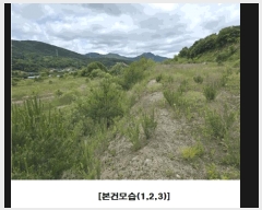  2025Ÿ��502441 �泲 �ݻ걺 ���ϸ� ������ ��26-1      ����(�Ӿ�)���