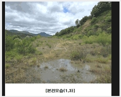  2025Ÿ��502441 �泲 �ݻ걺 ���ϸ� ������ ��26-1      ����(�Ӿ�)���