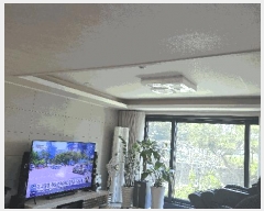  2025Ÿ��502520  ���ð��