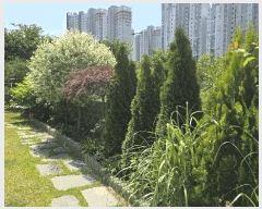  2025Ÿ��502520  ���ð��