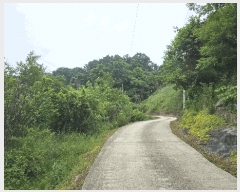  2025Ÿ��502542 ����Ư����ġ�� �ݳ��� ��� 41       ����(�Ӿ�)���