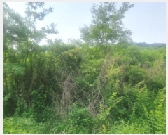  2025Ÿ��502542 ����Ư����ġ�� �ݳ��� ��� 41       ����(�Ӿ�)���