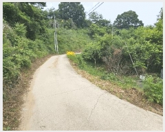  2025Ÿ��502542 ����Ư����ġ�� �ݳ��� ��� 41       ����(�Ӿ�)���