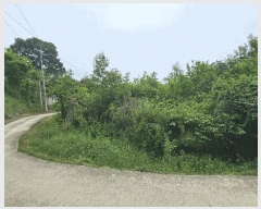  2025Ÿ��502542 ����Ư����ġ�� �ݳ��� ��� 41       ����(�Ӿ�)���