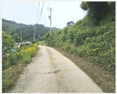  2025Ÿ��502542 ����Ư����ġ�� �ݳ��� ��� 41       ����(�Ӿ�)���