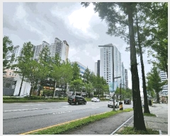  2025Ÿ��502645 ���� ������ ������ 606-1 �ָ��� 8��806ȣ     ���ǽ��ڰ��