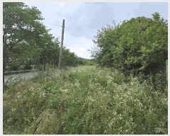  2025Ÿ��502773  ����