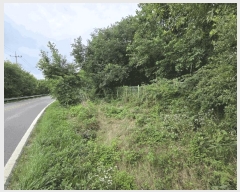  2025Ÿ��502773  ����