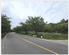  2025Ÿ��502773  ����