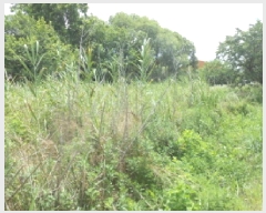  2025Ÿ��502773  ����