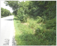  2025Ÿ��502773  ����