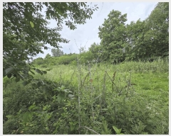  2025Ÿ��502773  ����