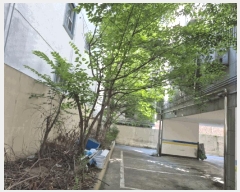  2025Ÿ��503020  �ٰ������ð��