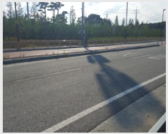  2025Ÿ��503034  �����