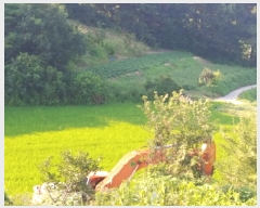  2025Ÿ��503034  �����