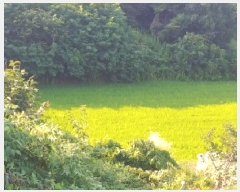  2025Ÿ��503034  �����