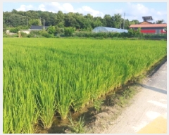  2025Ÿ��503034  �����