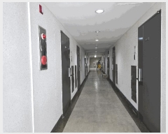  2025Ÿ��503056 ���� ���� ������ 913 �����Ϸ�2�� 2��208ȣ     ���ǽ��ڰ��