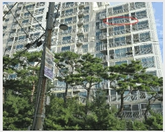  2025Ÿ��503124 ���� ������ ��뵿 479 ���Ǫ������ 101�� 9��901ȣ    ����Ʈ���