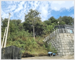  2025Ÿ��503492 ����Ư����ġ�� �屺�� ���踮 351-1       ����(�Ӿ�)���