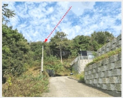  2025Ÿ��503492 ����Ư����ġ�� �屺�� ���踮 351-1       ����(�Ӿ�)���