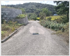  2025Ÿ��503492 ����Ư����ġ�� �屺�� ���踮 351-1       ����(�Ӿ�)���