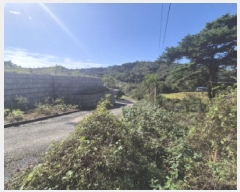  2025Ÿ��503492 ����Ư����ġ�� �屺�� ���踮 351-1       ����(�Ӿ�)���