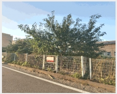  2025Ÿ��503524 ����Ư����ġ�� ��ġ���� ħ�긮 283-9       ����(����)���