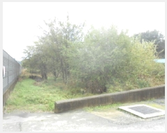  2025Ÿ��503524 ����Ư����ġ�� ��ġ���� ħ�긮 283-9       ����(����)���