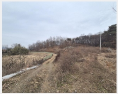  2025Ÿ��503899 ����Ư����ġ�� �屺�� ���踮 46-4       ����(�Ӿ�)���