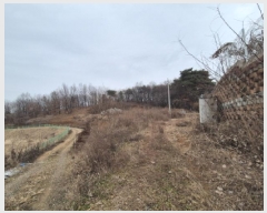  2025Ÿ��503899 ����Ư����ġ�� �屺�� ���踮 46-4       ����(�Ӿ�)���