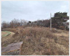  2025Ÿ��503899 ����Ư����ġ�� �屺�� ���踮 46-4       ����(�Ӿ�)���