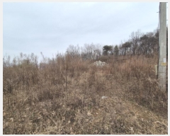  2025Ÿ��503899 ����Ư����ġ�� �屺�� ���踮 46-4       ����(�Ӿ�)���