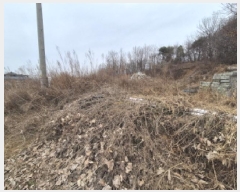  2025Ÿ��503899 ����Ư����ġ�� �屺�� ���踮 46-4       ����(�Ӿ�)���