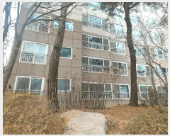  2025Ÿ��504085 ����Ư����ġ�� ��ġ���� �׸��� 396 ���̾���Ʈ 113�� 2��204ȣ    ����Ʈ���