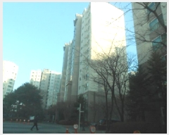  2025Ÿ��504085 ����Ư����ġ�� ��ġ���� �׸��� 396 ���̾���Ʈ 113�� 2��204ȣ    ����Ʈ���