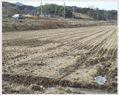  2025Ÿ54 泲 걺   478      ()