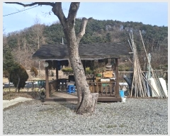  2025Ÿ54 泲 걺   478      ()